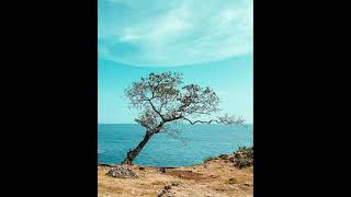 Download lagu Weakness~Gomez lx(Repost  Video) mp3