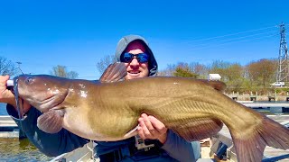 I Love Fishing for GIANT Catfish!!!