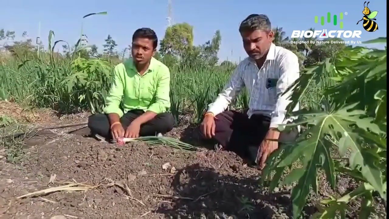 biofactorbiologicals