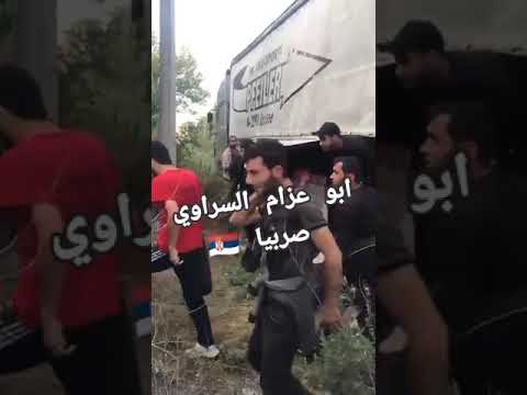 Goldstücke, Raketenforscher und Mediziner für die EU!