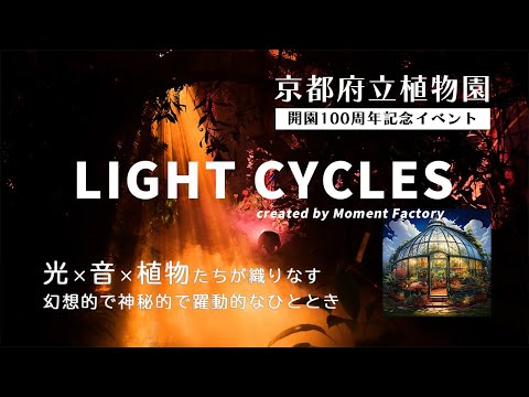 モダンな造園、コルテン鋼製盆地、息を呑むような景色