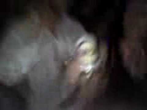 BAD BOY DA NOITE CARIOCA