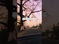 Childhood Kahani Lal Singh Chaddha Reel Status Video Shorts Shortsvideo Aesthetic