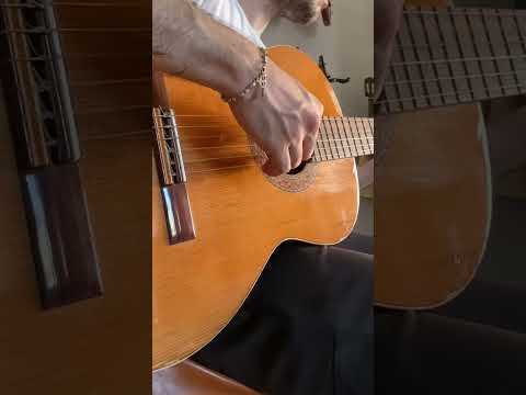 Alhambra 1C Classical Guitar — Made in Spain image 14