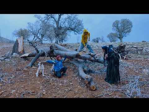 "El esfuerzo y la cooperación de la familia (peren) para recolectar leña en tiempo de lluvia"🪵🪓