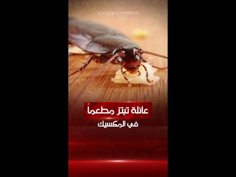 شاهد بالفيديو.. عائلة مكسيكية تحتال على مطاعم بطريقة مقززة من أجل التهرب من دفع ثمن الوجبات