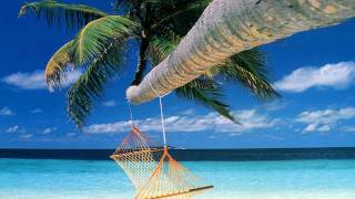 UB40 Oracabessa Moonshine