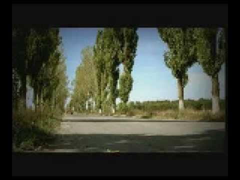 Scherzo-nonna al volante