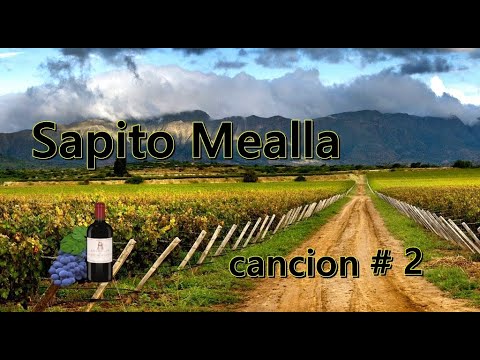 sapito mealla toy pobre estoy triste ( tonada chaqueña )