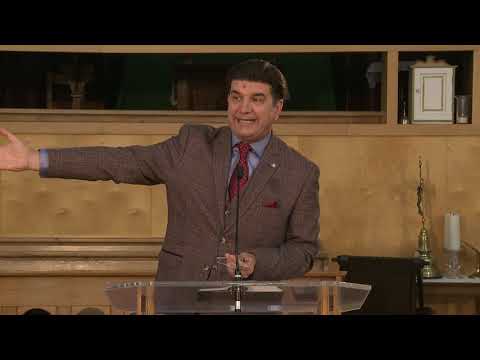 Pui de năparci - Sorin Petrof