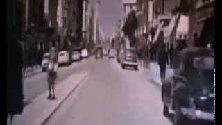 Le chien d'avant garde - Ukulele Ubass - Crik'n'Joe