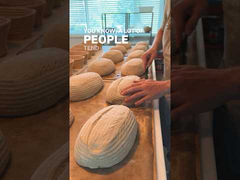 Turning a Sourdough Hobby into a Business #sourdough