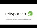 Wie Finde Ich Die Richtige Reithose
