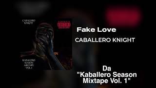 FAKE LOVE Lyrics English Translation