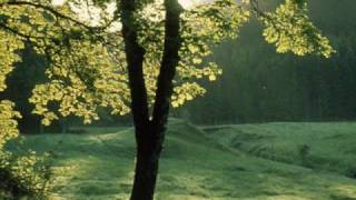 &#39;Morning Has Broken&#39; - Nana Mouskouri