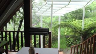 preview picture of video 'Claro de luna - Monteverde / Cloud Forest Costa Rica'