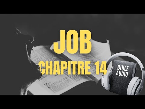 JOB 14 - THE AUDIO BIBLE with texts