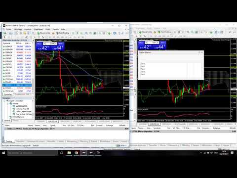 forex signal provider copier