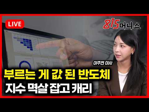 [1월 30일 #815머니쇼] 부르는 게 값이 된 반도체, 지수 멱살 잡고 캐리 | 이주연 이사