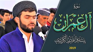 سورة ال عمران كاملة بيشةوا قادر الكردي