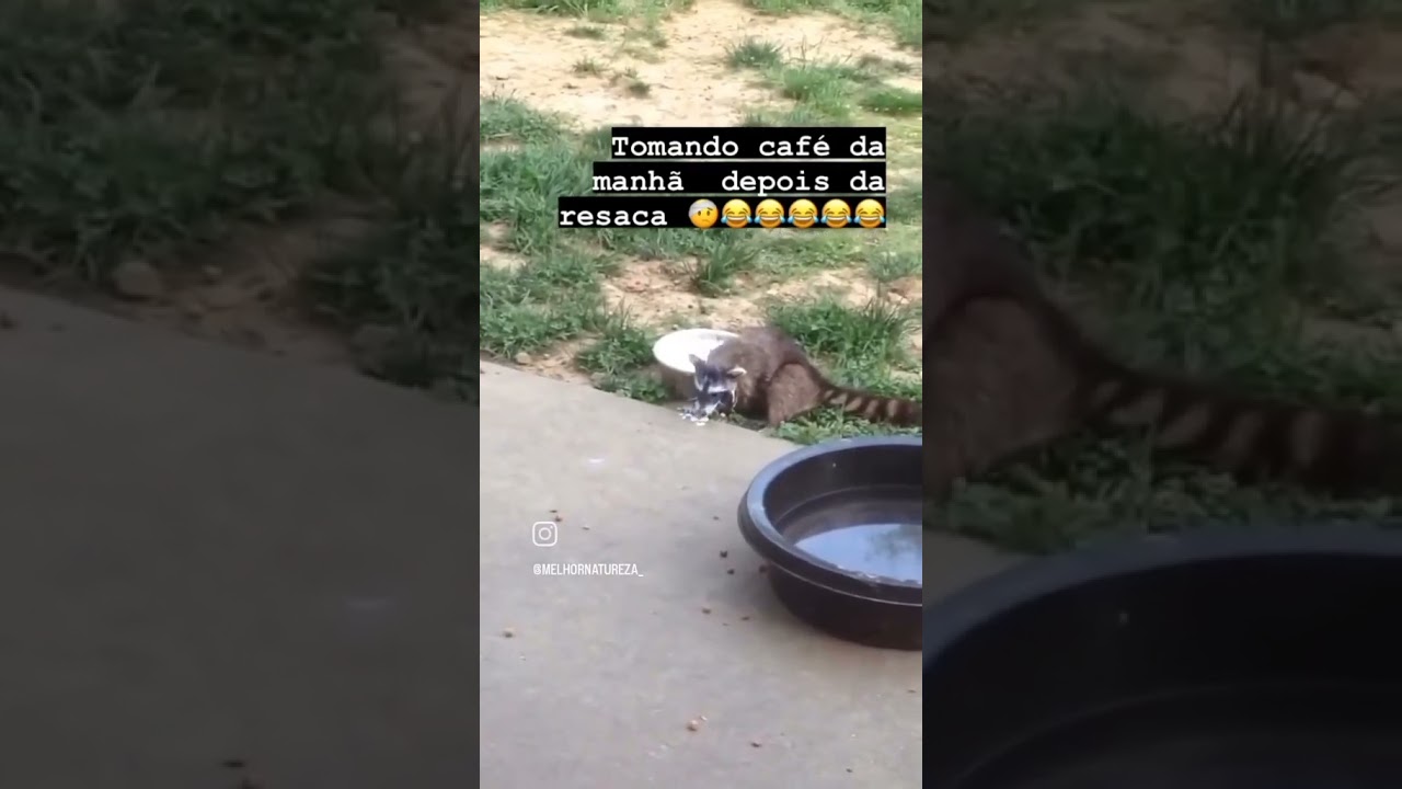 RESSACA BRABA 🤣🤣 #shortvideoviral #viral #memes #meme #memesbr #memesdaily #fly #rir #risos #risada