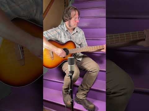 2021 Breedlove Discovery S Concert ED Acoustic/Electric Bass Guitar (VIDEO! Fresh Work, Ready) image 19