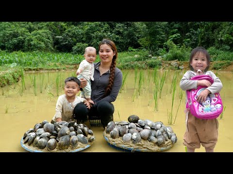 How to catch giant freshwater oysters for sale - Cooking with my three children