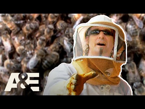 Billy’s Biggest BEE Battles! | Billy the Exterminator | A&E