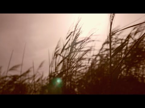 Video thumbnail for Traumreise