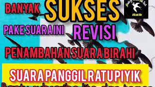 Download lagu Suara walet revisi Ratu piyik penambahan suara birahi terbukti jozz mp3