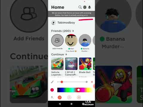 Roblox got crashed by blox fruit update 20