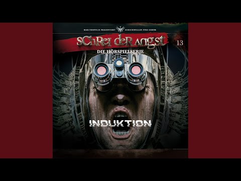 058 - Induktion - Nachtfahrt - Fratze 3