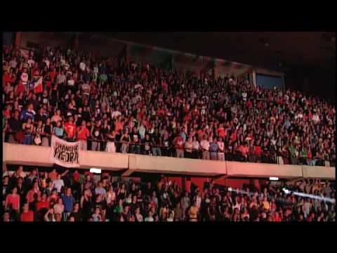 Videoclip de Animales Disfrazados (Live Version) — Chancho en piedra