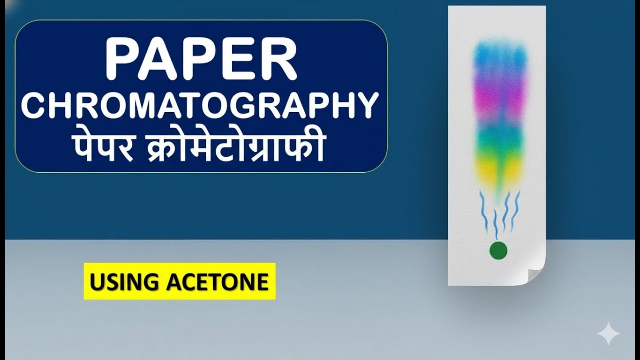 Paper Chromatography (पेपर क्रोमैटोग्राफी ) with the help of Acetone - ChemHolder