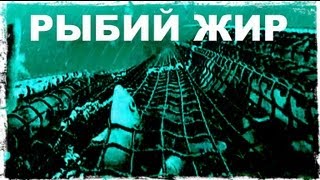 Ссылка
