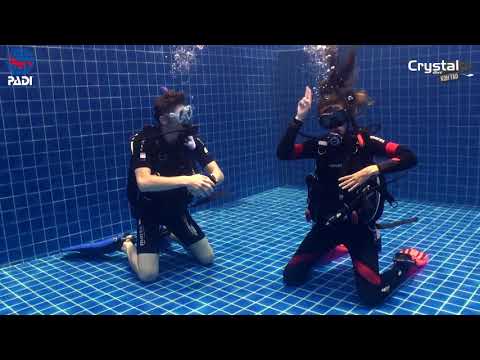 How to Swim Over Sensitive Bottom 🤿 PADI IDC Skills Dive