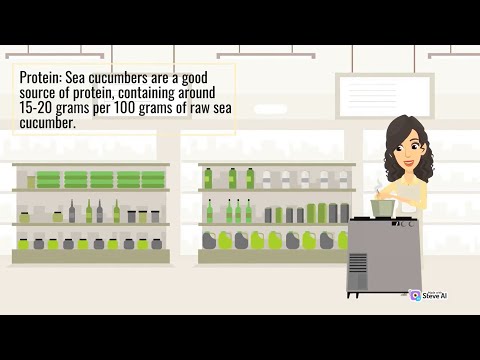 Sea Cucumber Dishes | Boost Your Health with Nutrient Packed Recipes | Part 1 | Nitrition in Food