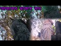 The Ultimate Bengali Bathing Ritual A Cultural Insight Village Lifestyles Blogs Bathing Video