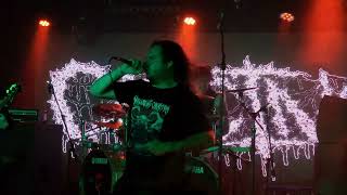 Music video thumbnail preview for Carcinoid - (Live at Essence Festival, Canberra on 28 Sept 2024) by Carcinoid