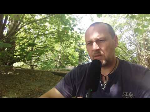 Női kérdések- Férfi válaszok / Mit tegyek ha cseléd vagyok?