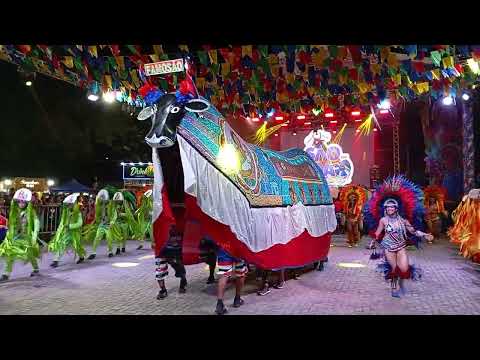 Boi Famosão 2025 🎶 Lá Vai 🤠 Valdinar Cantador