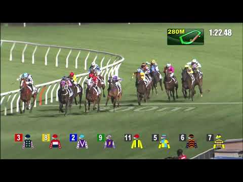 24/11/2021 (200) Charizard - L Ferraris