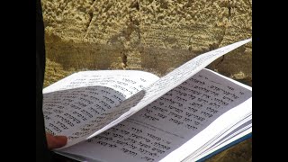 האם נשים חייבות בזמן תפילה ▪️הרב נחמנסון▪️(בית כנסת חב"ד כפר סבא) (הרב יהודה לייב נחמנסון) - התמונה מוצגת ישירות מתוך אתר האינטרנט יוטיוב. זכויות היוצרים בתמונה שייכות ליוצרה. קישור קרדיט למקור התוכן נמצא בתוך דף הסרטון