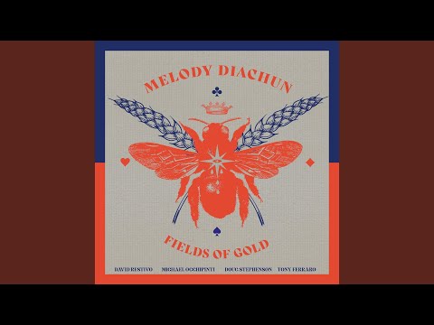 Fields of Gold (feat. Michael Occhipinti, David Restivo, Doug Stephenson & Tony Ferraro)