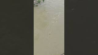 Download lagu Jembatan Kota Pinang #reels #kotapinang #labuhanbatuselatan #pemandangan mp3