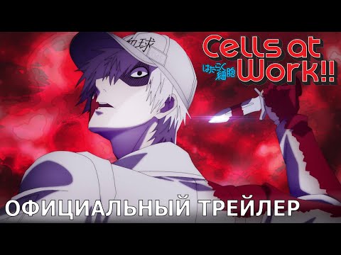 PV1 (Wakanim) Субтитры