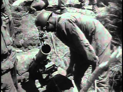 The First Forty Days In Korea - The Big Picture