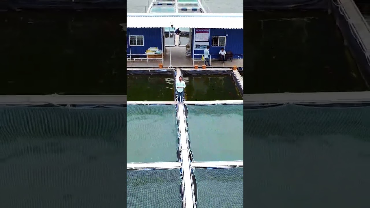 Cage culture fish farm