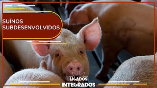 Miniatura do vídeo