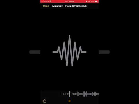 Mula Gzz - Static 🐺 (Official Audio)
